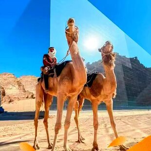 迪拜-阿曼纯玩一日游 Khasab 追海豚+浮潜海钓迪拜或马斯喀特接送