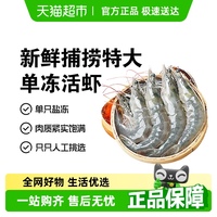 鮮活速凍特大白蝦新鮮順豐！