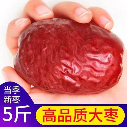 6星特级和田大枣新疆特产干货大红枣特等枣王骏枣新货免洗新枣