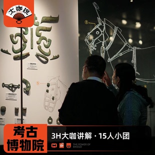 大咖说®陕西考古博物馆一日游3小时大咖讲解15人小团西安旅游