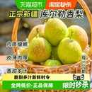 新疆库尔勒香梨新鲜应季 鲜香梨香酥多汁脆甜可口鲜香梨