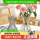 饰花瓶 北欧风玻璃花瓶创意客厅水培水养蒜头花瓶桌面插花瓶ins装