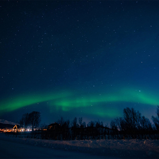 挪威特罗姆瑟巴士追极光一日游【6小时|英文团】