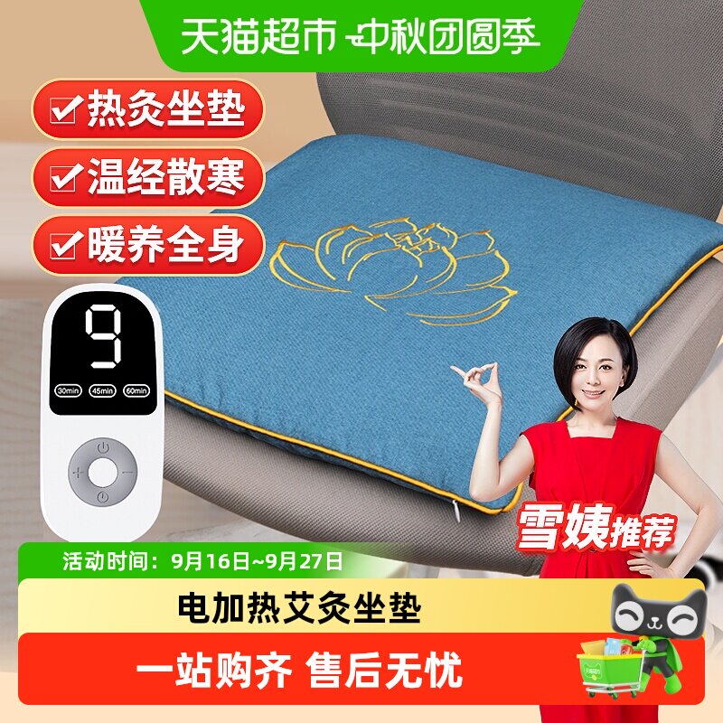 仙草艾电加热艾灸坐垫热敷艾灸										
