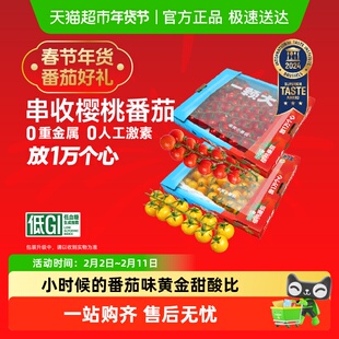 【一颗大】串收樱桃番茄甄选礼盒新鲜采摘酸甜多汁