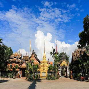 云南西双版纳热带雨林中科植物园野象谷傣族园基诺山寨纯玩包车