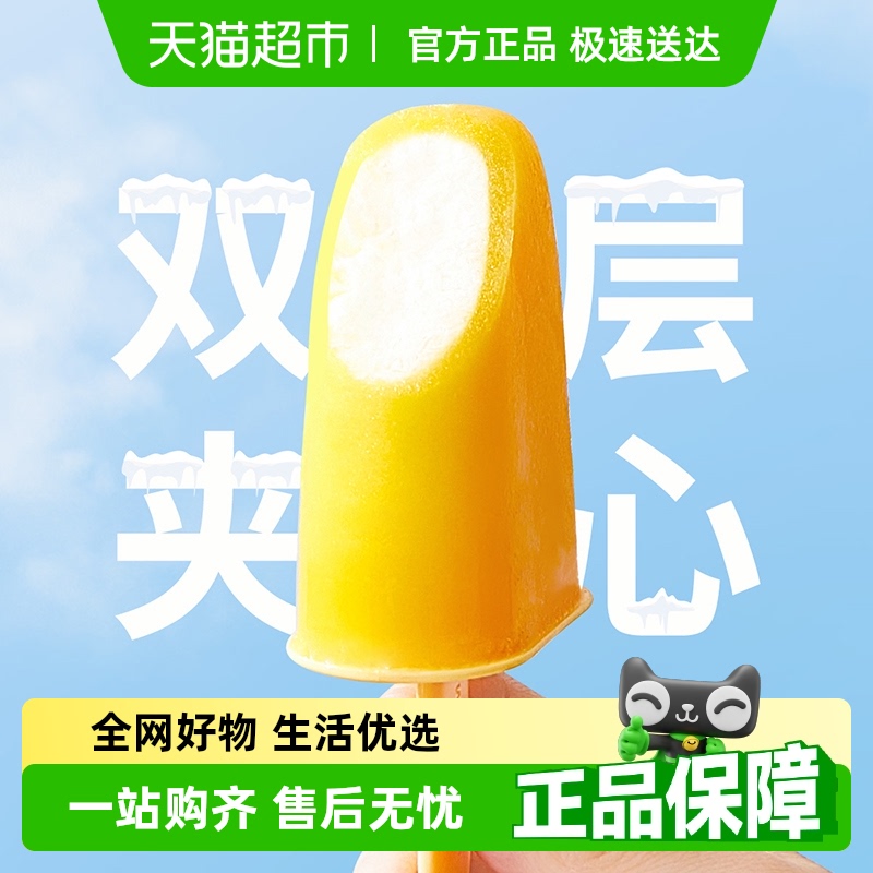 舍里雪糕专用模具食品级制冰盒