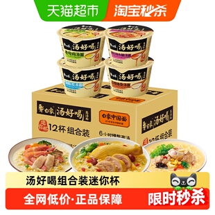 白象汤好喝方便面迷你杯40g*12杯混装多口味泡面整箱