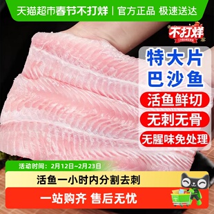 越南巴沙鱼柳无骨无刺冷冻鱼片鱼肉排商用整箱批发