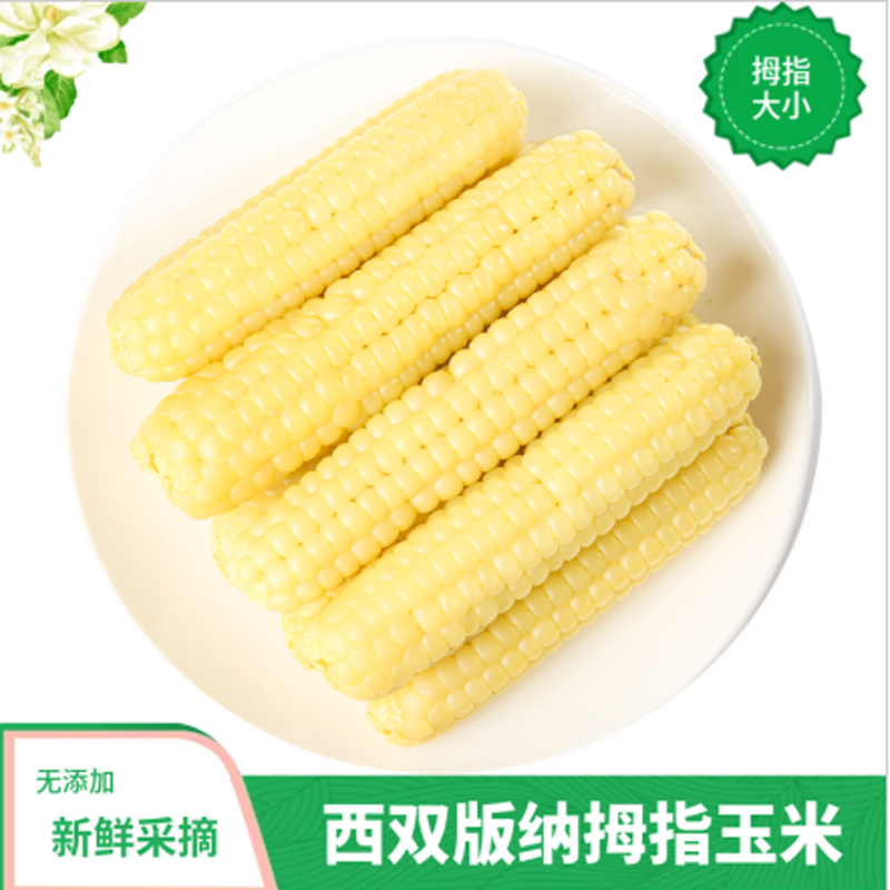 云南西双版纳软香甜糯拇指玉米宝宝儿童早餐鲜嫩粗粮手指玉米