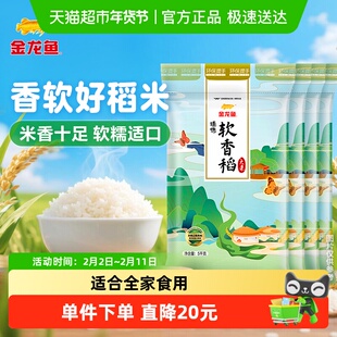金龙鱼臻选软香稻5KG*4袋共20公斤整箱装 苏北大米 香软绵糯