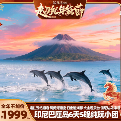 【K姐推荐】纯玩小包团！连住五钻泳池巴厘岛6天旅游海豚火山印尼