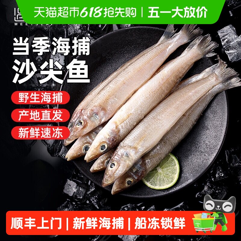 舟山大号沙尖鱼新鲜尖梭鱼深海捕鱼鲜活冷冻海鱼沙丁鱼海鲜水产