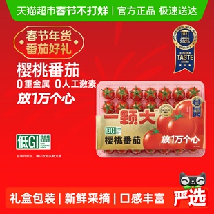 【一颗大】红宝石樱桃番茄蛋托精品礼盒装酸甜爆汁下午茶水果