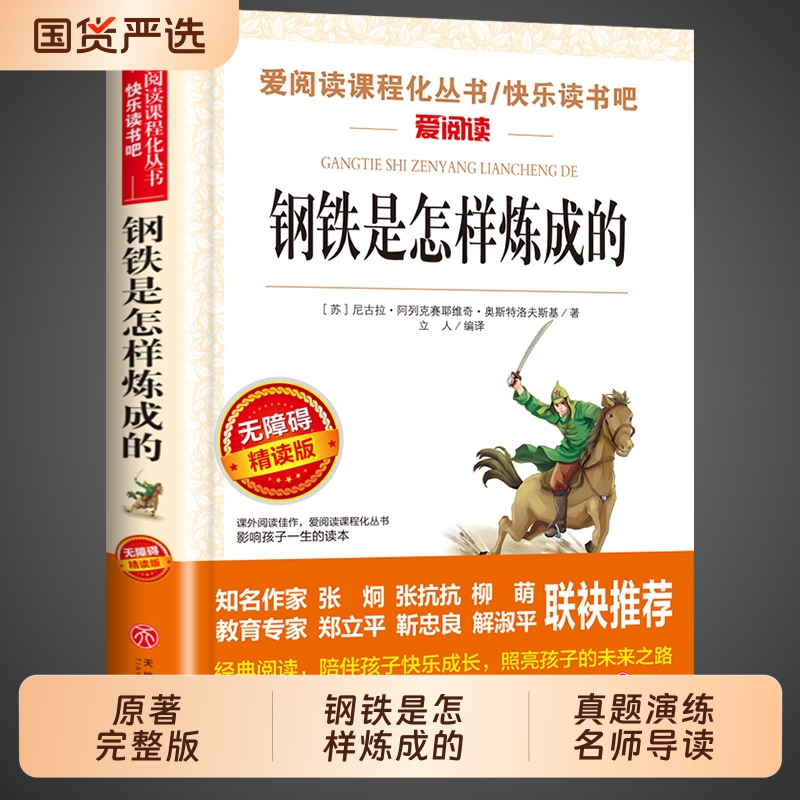 钢铁是怎样炼成的原著
