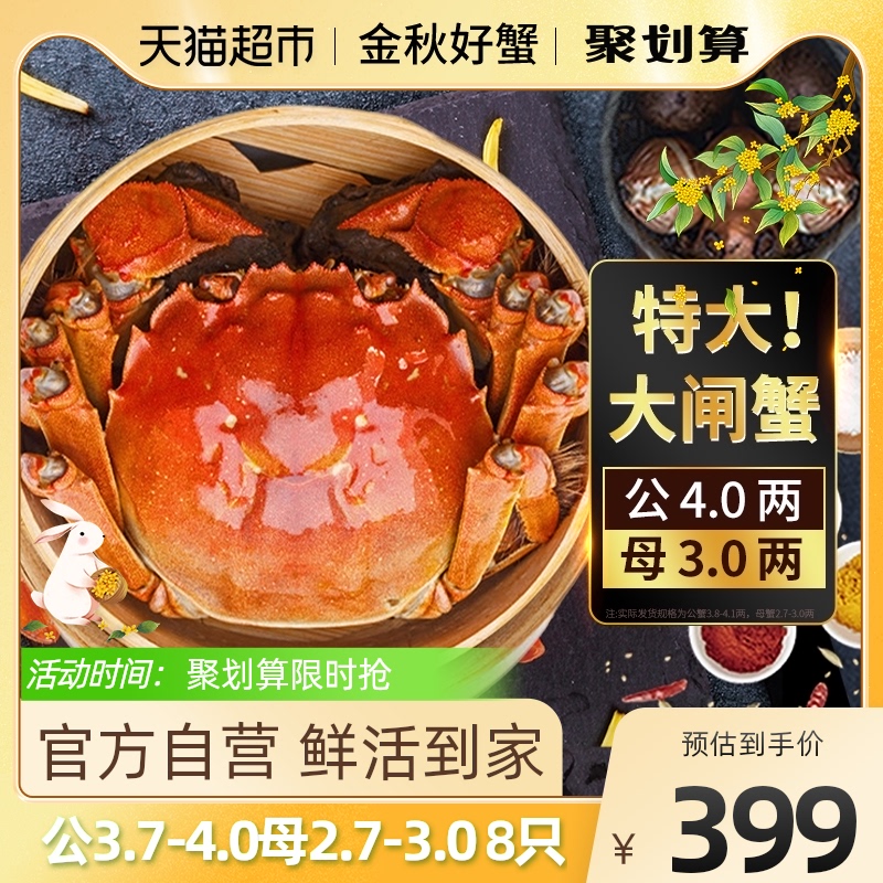 湖塘烟雨大闸蟹鲜活螃蟹特大公3.7-4.0母2.7-3.0 8只现货海鲜礼盒使用感如何?