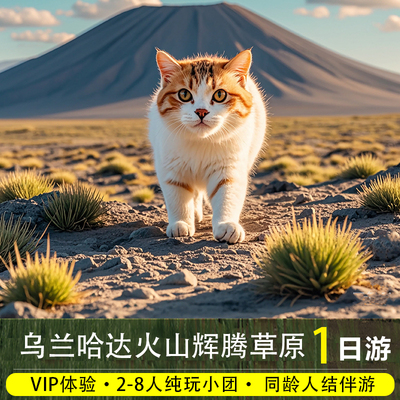 乌兰哈达火山一日游