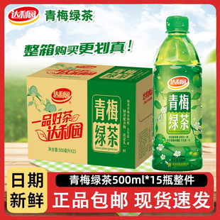 囤货 饮品绿茶配青梅正品 达利园青梅绿茶500ml×15瓶装 饮料夏季