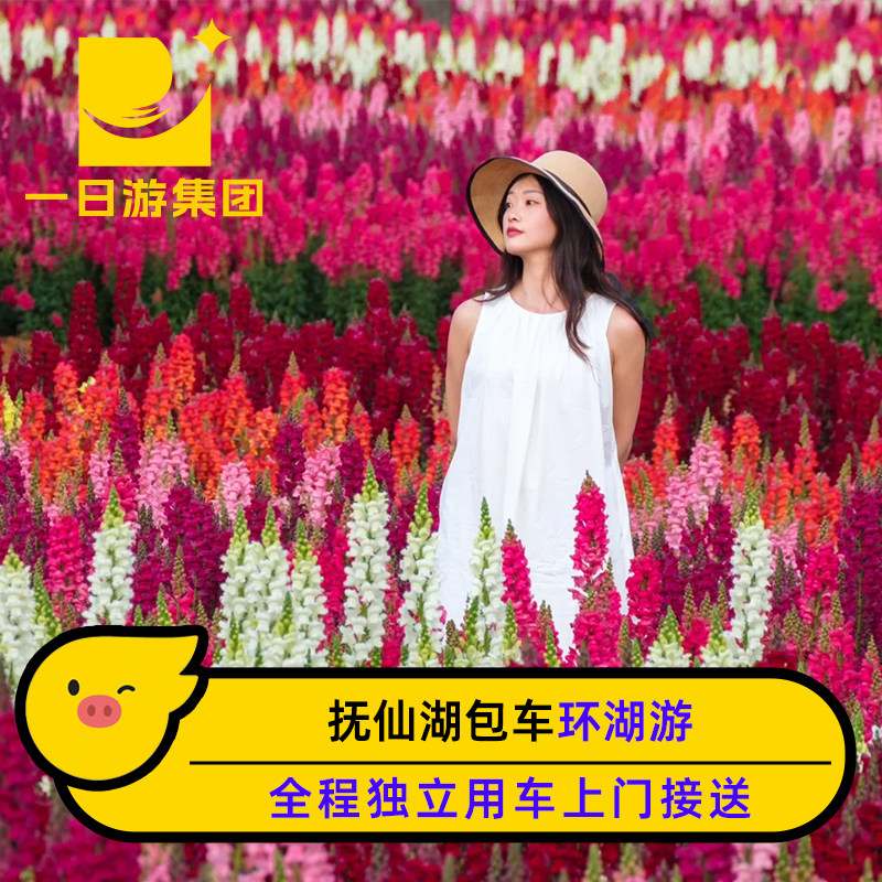 昆明抚仙湖环湖包车一日游【三环内上门接送+一单一团+景点任选】