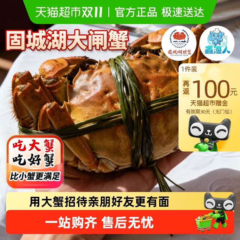 鑫渔人大闸蟹全母蟹礼盒装精品蟹