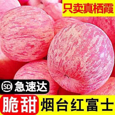 5A级品质，包邮产地直发！