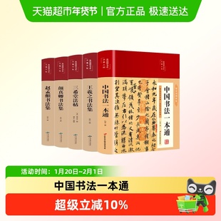 中国书法一本通王羲之赵孟頫三希堂法帖颜真卿书法练习经典彩绘