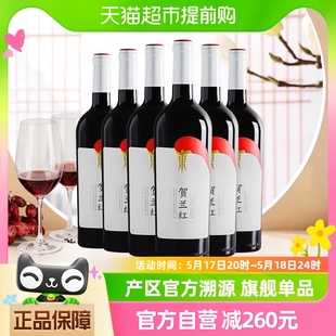 山海情 贺兰红赤霞珠干红葡萄酒宁夏贺兰山国产红酒箱装750ml*6瓶