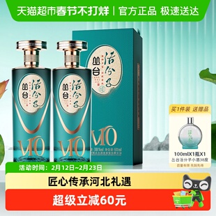 丛台 活分子(V10) 浓香型白酒 38度 500ml*2瓶 纯粮酒 自饮送礼