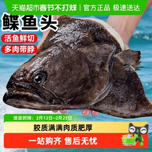 鲽鱼头整条分割鸦片鱼头新鲜冷冻比目鱼特大