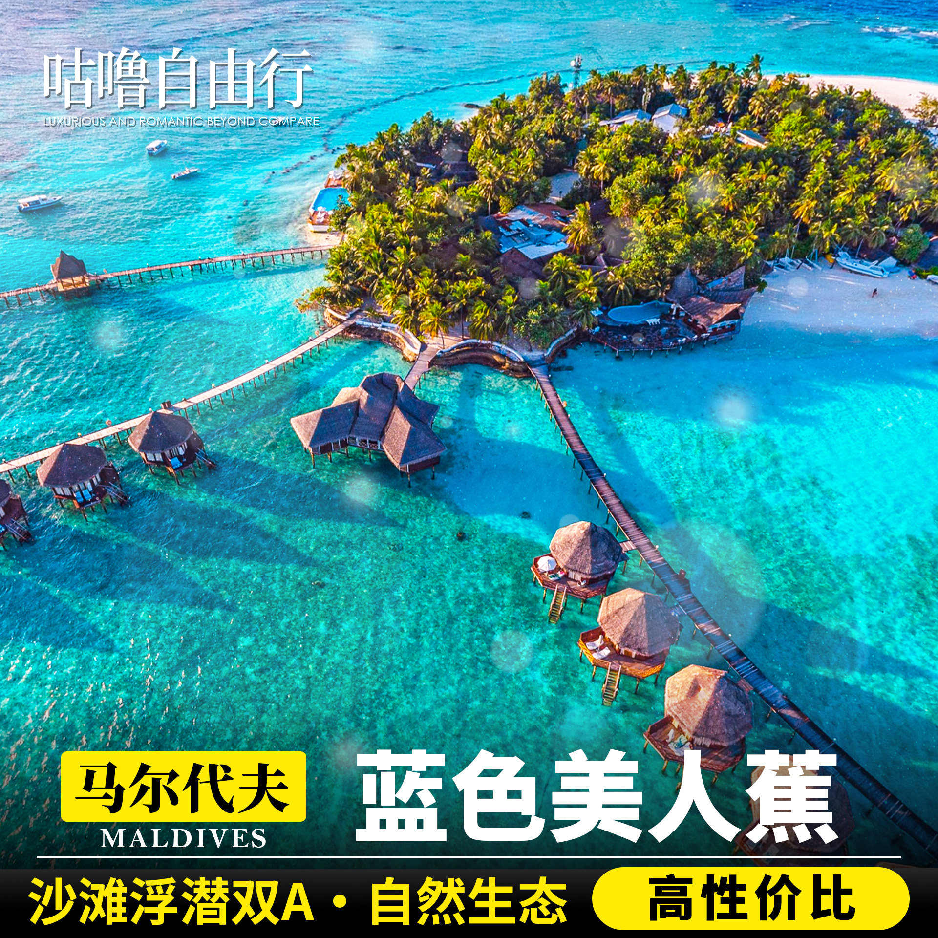 马尔代夫蓝色美人蕉