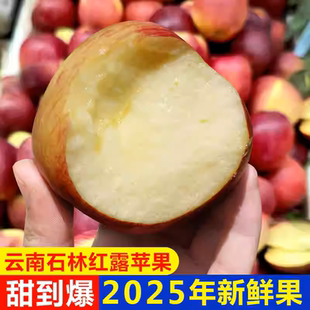 包邮 正宗云南本土红露新苹果应当季 脆甜清爽冰糖心丑苹果新鲜水果