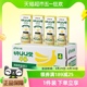 韩国进口 宾格瑞风味乳品香蕉味牛奶饮料200ml 24盒香滑口感聚会