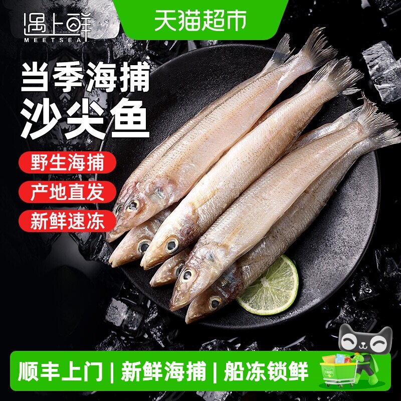 舟山大号沙尖鱼新鲜尖梭鱼深海捕鱼鲜活冷冻海鱼沙丁鱼海鲜水产