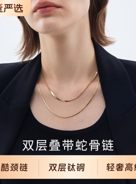 蛇骨链甜酷颈链双层时尚项链女小众设计钛钢ins高级感叠戴锁骨链