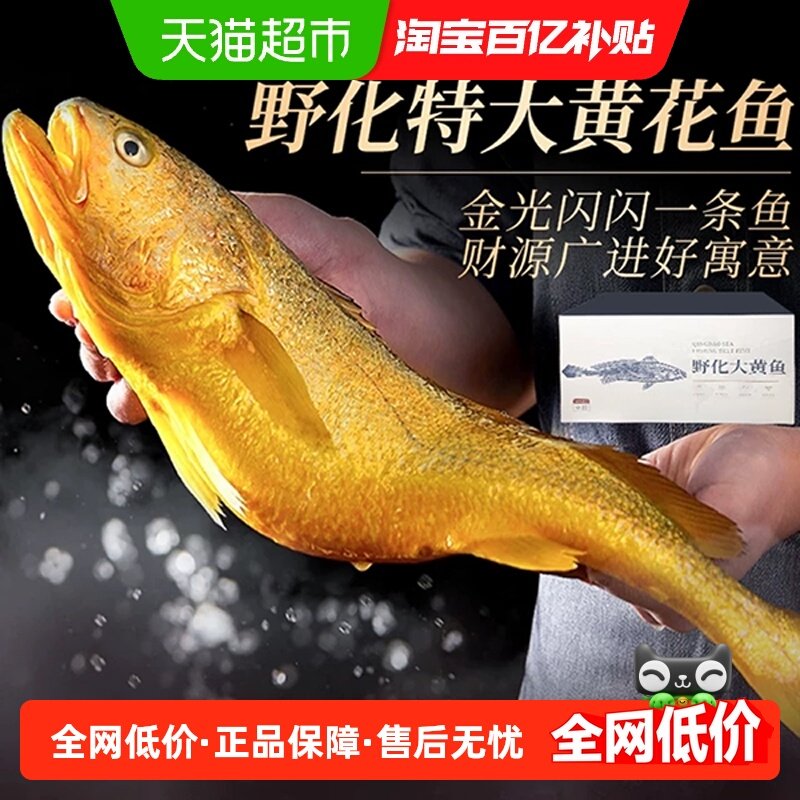 海仙部落青岛野化大黄鱼礼盒新鲜冷冻深海鲜活大黄花鱼,水产肉类/新鲜蔬果/熟食,黄鱼,淘宝优惠券,粉丝福利购,淘宝优惠卷