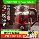 煮茶器2024新款 小熊煮茶壶电热烧水壶自动家用蒸茶壶喷淋式 电茶壶