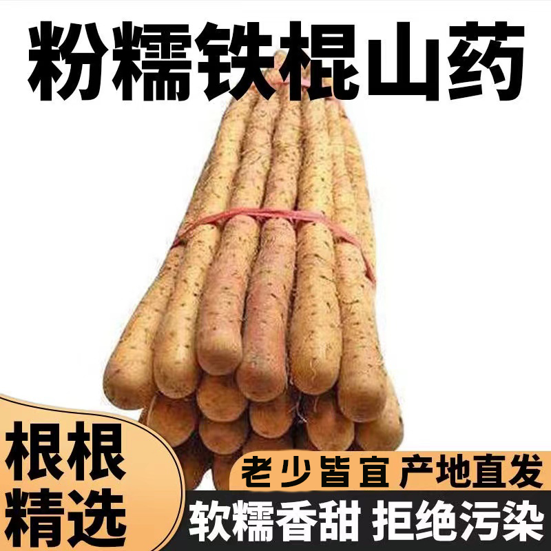 正宗铁棍山药新鲜小白嘴山药新鲜山药铁杆怀山药营养丰富美食包邮