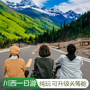 川西四姑娘山双桥沟/卧龙神树坪熊猫基地纯玩一日游周边游
