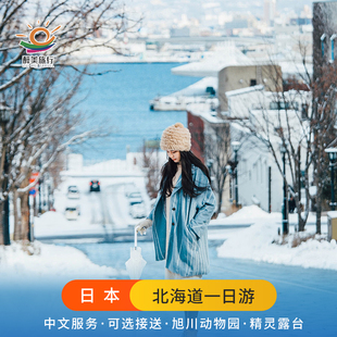 【精品小团】日本北海道札幌旭川美瑛富良野小樽登别洞爷湖一日游