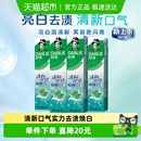 4支套装 牙膏清新双效200g 大容量清新口气 原黑人 DARLIE好来