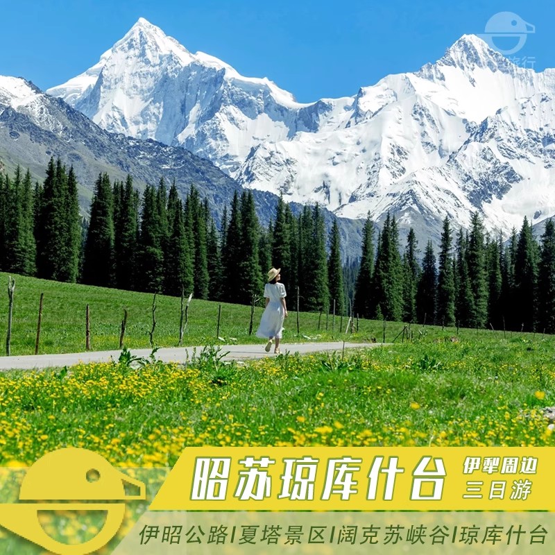 伴游伊犁花海航拍定格风光