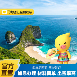 印度尼西亚·旅游签证·全国送签·【飞猪官方直营】印尼签证电子签个人旅游商务B1/C1简化加急拒签全退