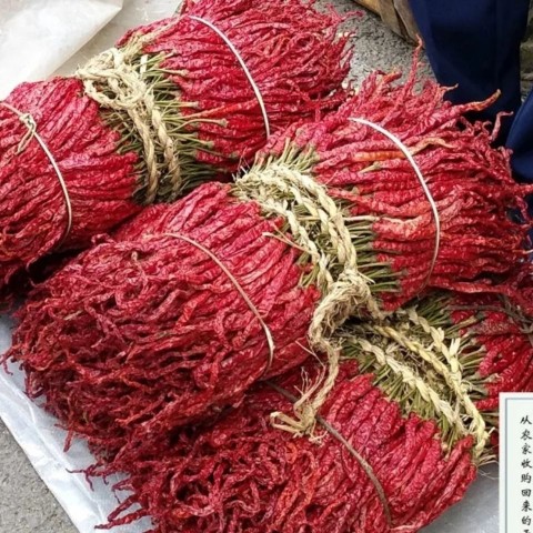 贵州特产自然晒干皱皮辣椒微辣特香二荆条干辣椒贡椒线椒红辣椒干