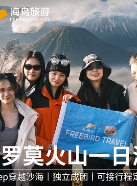 印尼泗水布罗莫火山一日游团马达将军瀑布bromo包车巴厘岛赛武