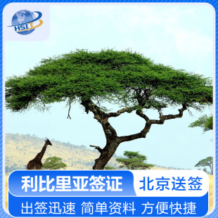 利比里亚旅游签证 全国办理 利比里亚商务签证 简单资料 不限领区 利比里亚商务代送 利比里亚签证