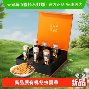 东阳光冬虫夏草冻干虫草礼盒有机冬虫草滋补送礼