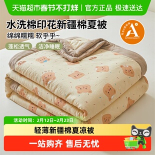 新疆棉夏凉被子夏被薄款春秋空调被水洗棉可机洗宿舍学生空调被芯