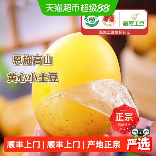 农鲜淘恩施小土豆甘甜香糯