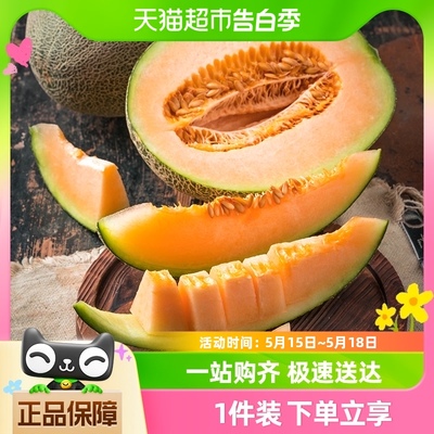 海南晓蜜哈密瓜1kg×1箱现摘水果