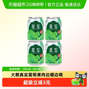 九日果粒葡萄汁饮料暑期出游露营聚餐大颗果肉